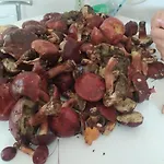 Séjour chez l'habitant Wczasy Sandi Chlapowo *