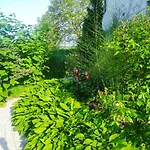 Wczasy Sandi Chlapowo * Władysławowo