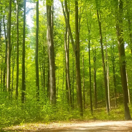 Accommodatie bij particulieren Wczasy Sandi Chlapowo Władysławowo