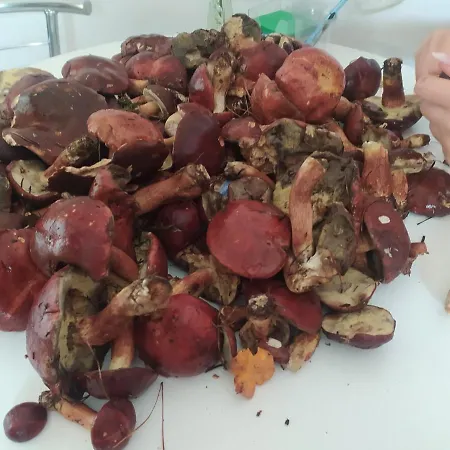 Accommodatie bij particulieren Wczasy Sandi Chlapowo *