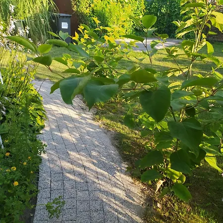 Wczasy Sandi Chlapowo