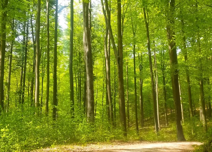 בית אירוח Wczasy Sandi Chlapowo Władysławowo