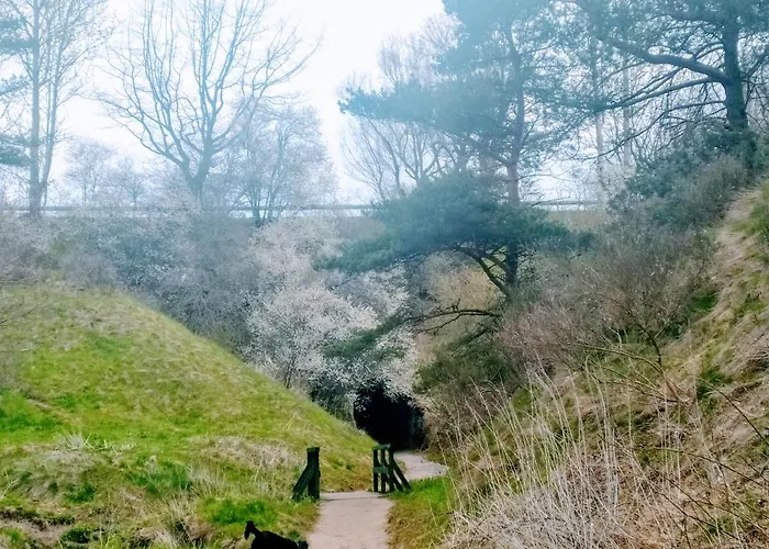 Wczasy Sandi Chlapowo *