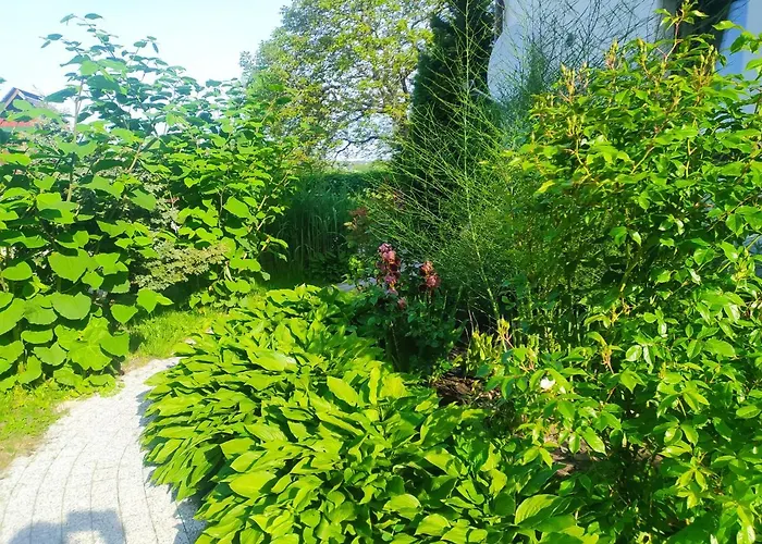 Wczasy Sandi Chlapowo * Władysławowo