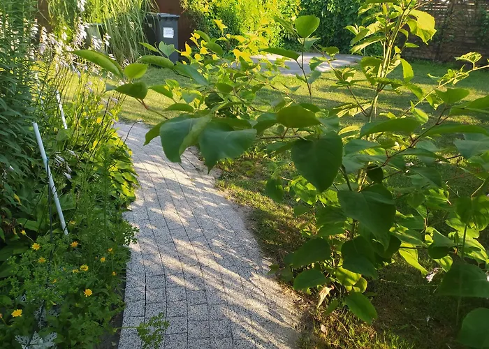 Wczasy Sandi Chlapowo