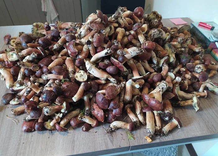 Wczasy Sandi Chlapowo בית אירוח Władysławowo